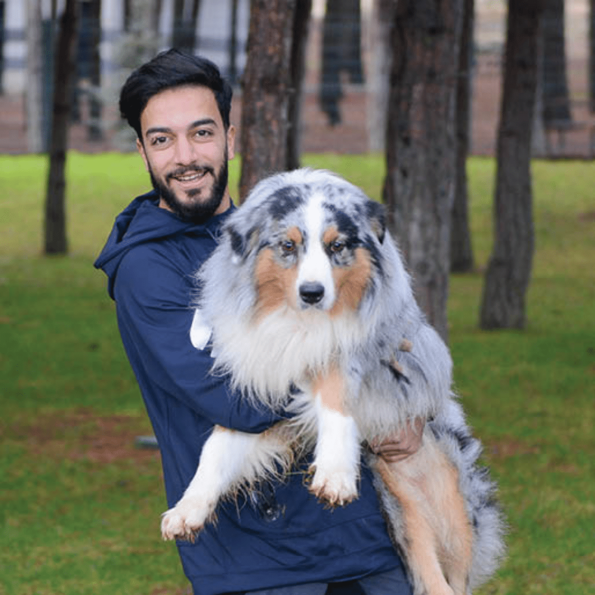 Köpeğinize bakım günü ilan edin